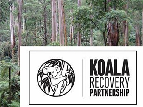 Koala Recovery Partnership