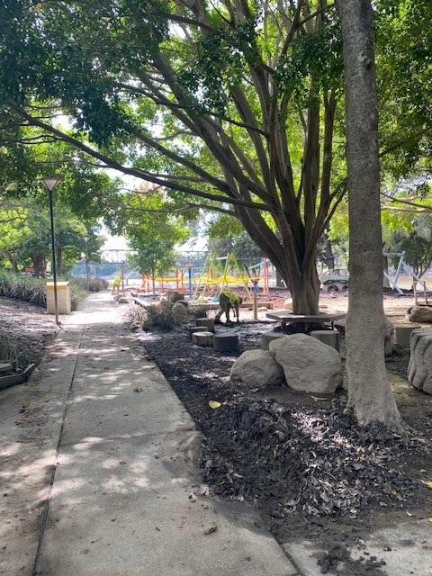 Flood clean-up at Riverside Park 