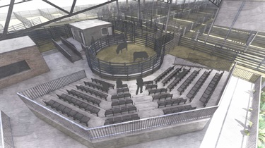 A render of the selling arena of the Kempsey Saleyards