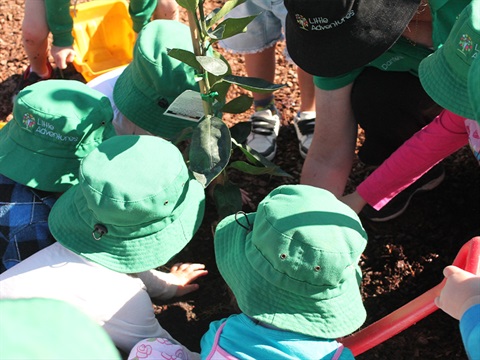 Preschool students participating in National Schools Tree Day